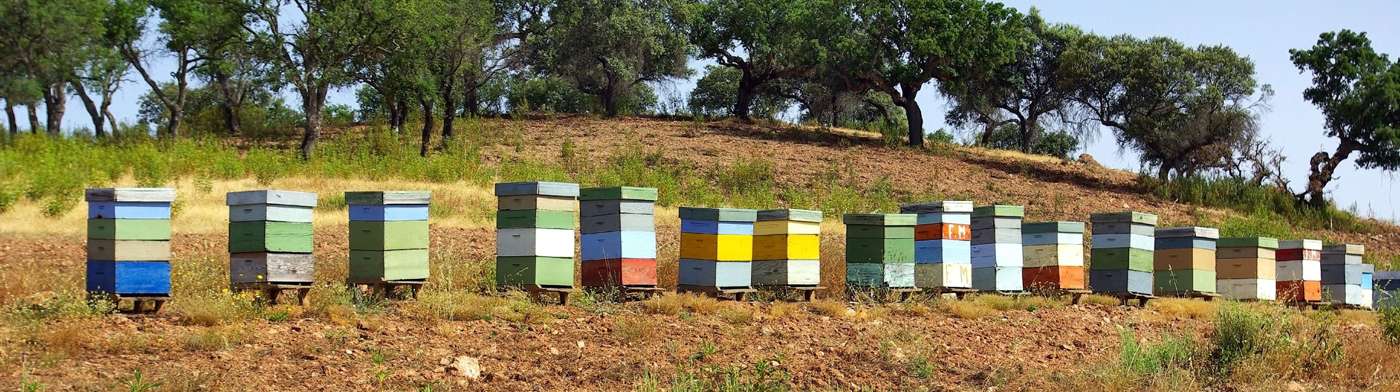 Produits  de la ruche