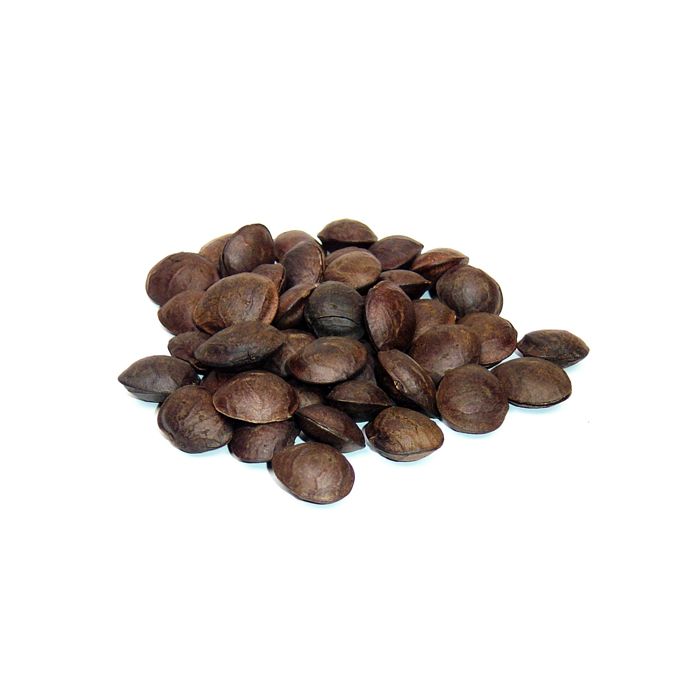 Biovontade